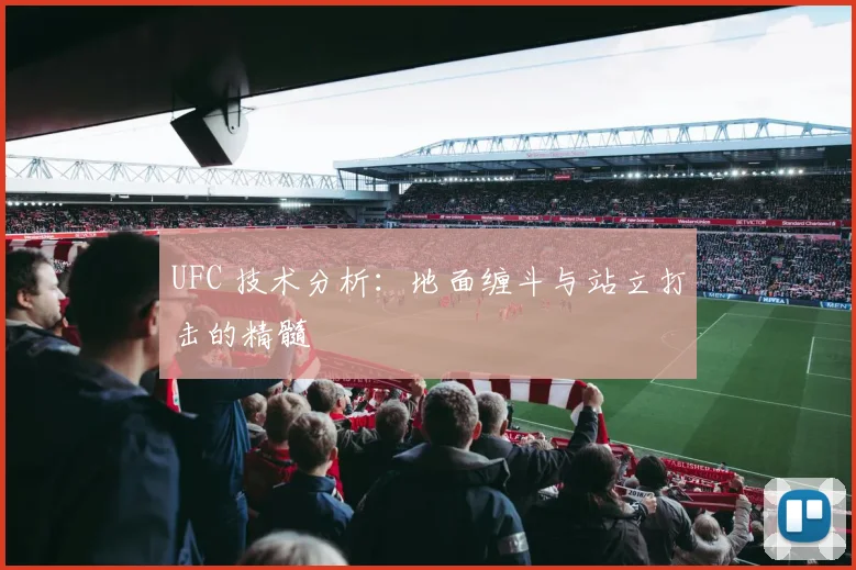 UFC 技术分析：地面缠斗与站立打击的精髓