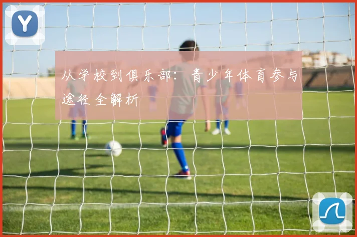 从学校到俱乐部:青少年体育参与途径全解析