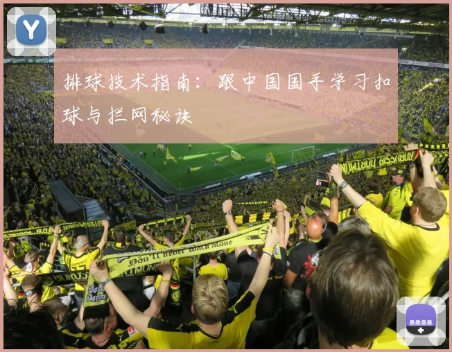 排球技术指南:跟中国国手学习扣球与拦网秘诀